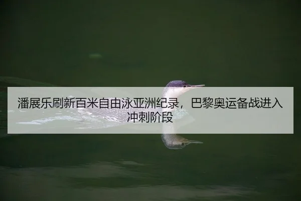 pan-zhan-le-shua-xin-bai-mi-zi-you-yong-ya-zhou-ji-lu-ba-li-ao-yun-bei-zhan-jin-ru-chong-ci-jie-duan-2-722.jpg