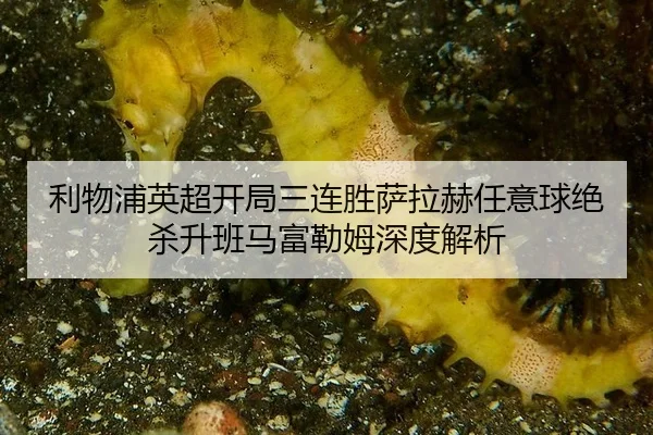利物浦英超开局三连胜萨拉赫任意球绝杀升班马富勒姆深度解析